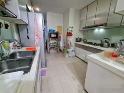 Residences At 338A (D9), Apartment #426072631